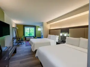 Holiday Inn Express & Suites North East (Erie I-90 Exit 41)