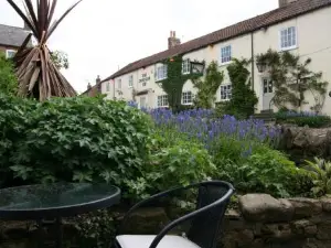 Honeysuckle in Crayke YO61 4TE