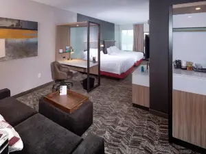 紐華克市區SpringHill Suites飯店