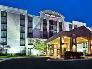 SpringHill Suites by Marriott Chicago Southwest at Burr Ridge/Hinsdale