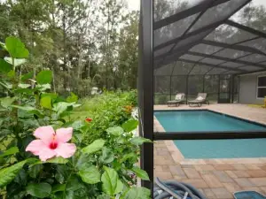 Pet-Friendly, Heated Pool, Close to Everything 3 Bedroom Home