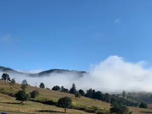 Unique Luxury Farm Stay Cabin, Sunshine Coast Hinterland