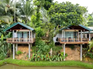 Rainforest Nest