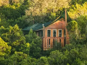 Teniqua Treetops
