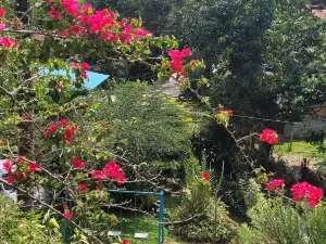 호스페다텐산라파엘