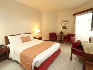 Hotel Princesa Louçã