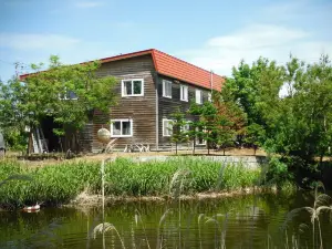 Clione Camp Guest House