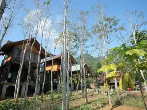 Phong Nha Mountain House