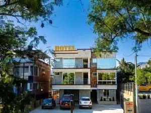 Hotel Explora