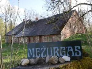 Mežurgu Teltis
