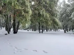 Pine Hills Cabin in Julian