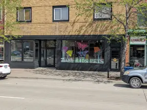 Prime Downtown Music Lovers Experience! Nostalgic Mid-Mod In Historic St Peter