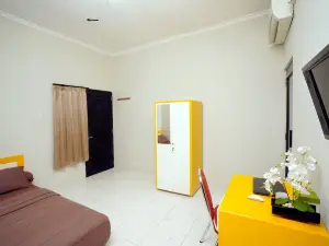 Dparagon 德維科拉