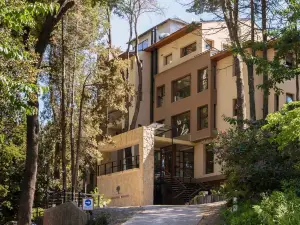 Boutique Hotel & Spa Bosque del Nahuel