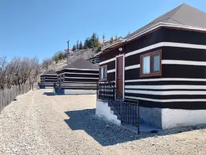 Ayda TATIL KOYU