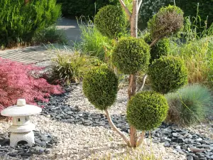 勒維蘭內民宿和幸福組織