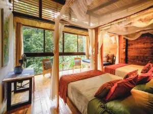 La Shamana - Ecological Concept in Jungle