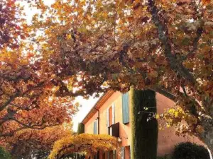 Hôtel le Mas des Grès & Restaurant Sous les Platanes