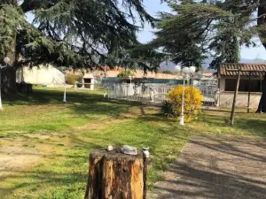Le Parc Aux Cedres