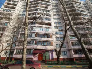 Standard Brusnika Apartments Vykhino