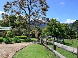 The Laurels B&B