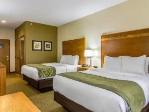 Comfort Inn