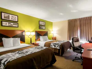 Sleep Inn & Suites Near Fort Gregg-Adams