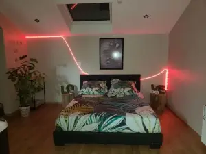 Bulles étoilées Appartement Avec Jacuzzi privé