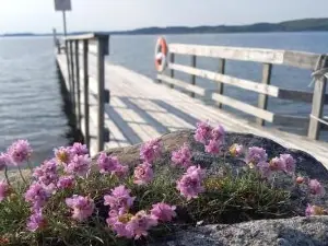 Tofte Guesthouse nära hav, bad och Marstrand
