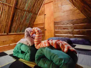 Ekowisata Padang Janiah