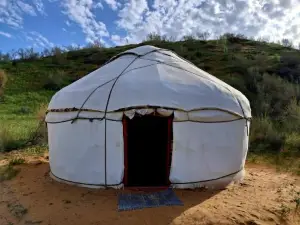 Kyzylkum Nights Camp & Family Yurt
