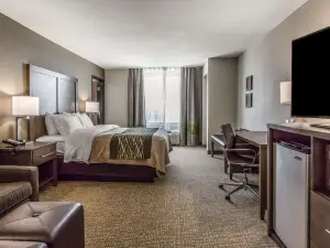 Comfort Inn & Suites Snyder