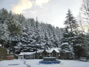 Himgiri Nature Retreat