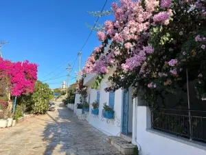 Reginas Studios & Apartments- Blue Flower Apartment