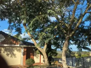 Lakeside Retreat