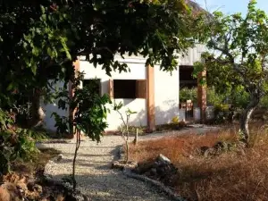 Rumah Tinggi at Pachamama