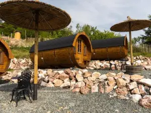 Complex Butoaiele Transilvaniei - Cazare & Spa - Natura - Relaxare