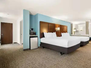 Comfort Suites Rensselaer near Fair Oaks
