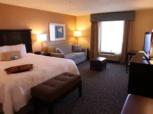Hampton Inn & Suites by Hilton Carlsbad