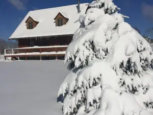 UNIQUE Log Style Cozy Ski Chalet - Walking Distance To Town - Pets Welcome