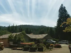 Avenue of the Giants Burl bungalow