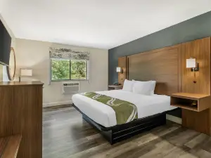 Quality Inn Chesapeake