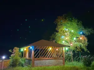 ÜNYE KAVAKLAR GÜNLÜK EV