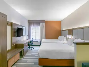Holiday Inn Express & Suites Mount Arlington-Rockaway Area