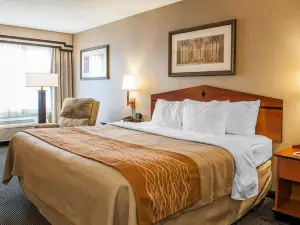 Comfort Inn Edinburgh - Columbus