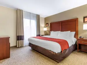 Comfort Inn & Suites Clemson - University Area