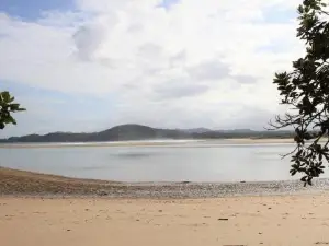 Kakariki by the Sea