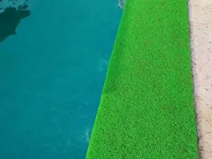 Bhogwey Heights Resort -Sindhudurg