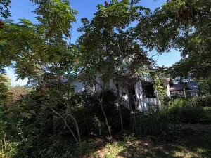 Bohemian 3-bedroom house with private yard in charming neighborhood