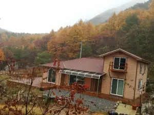 Danyang Sunflower Guesthouse